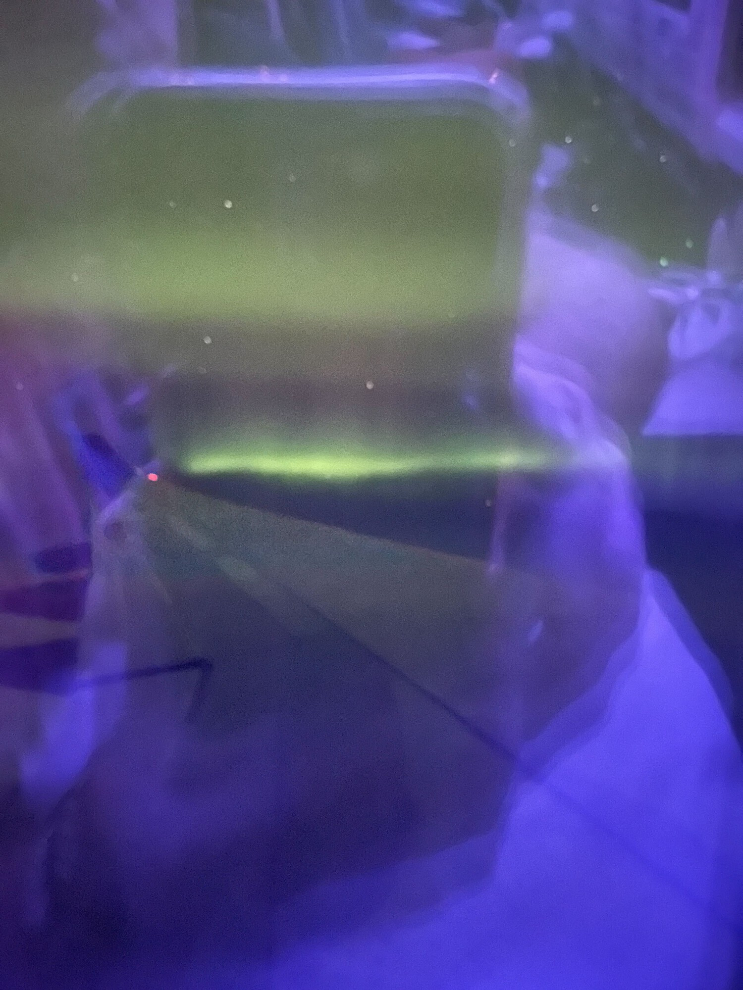 Northern Lights visible from my window during my flight to London